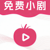 晴天火龙果TV2023最新版